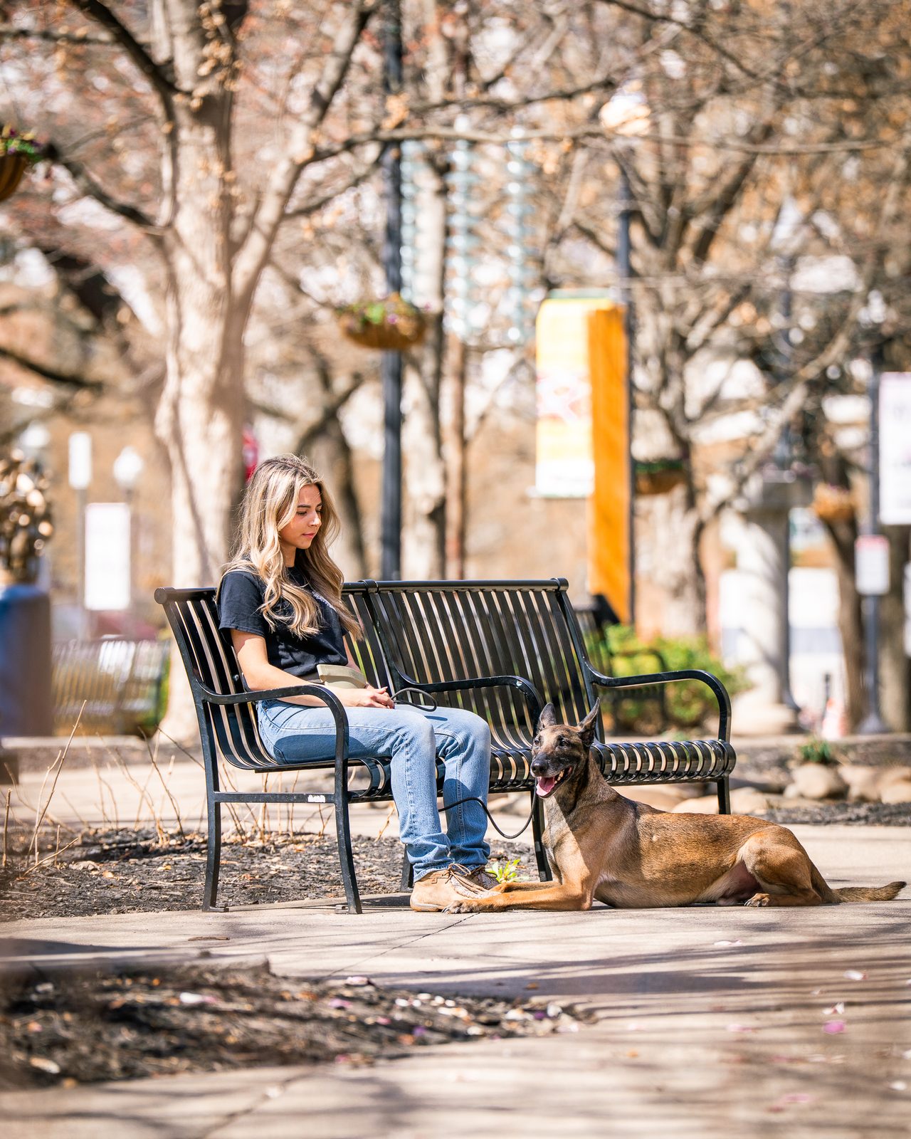 A woman on a bench with her Malinois lying down on a tree-lined plaza