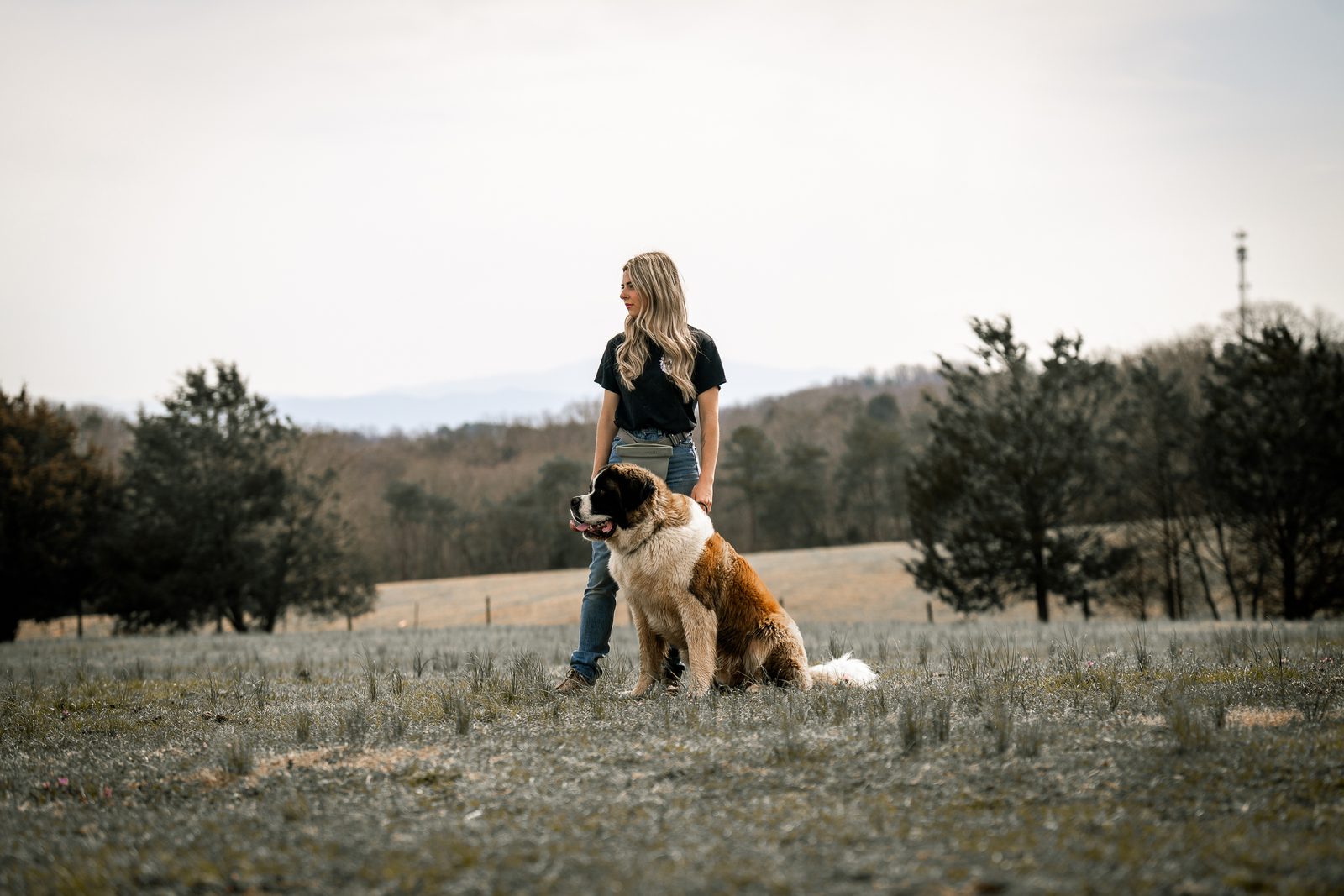 A woman and a seated Saint Bernard in a wide hilltop field