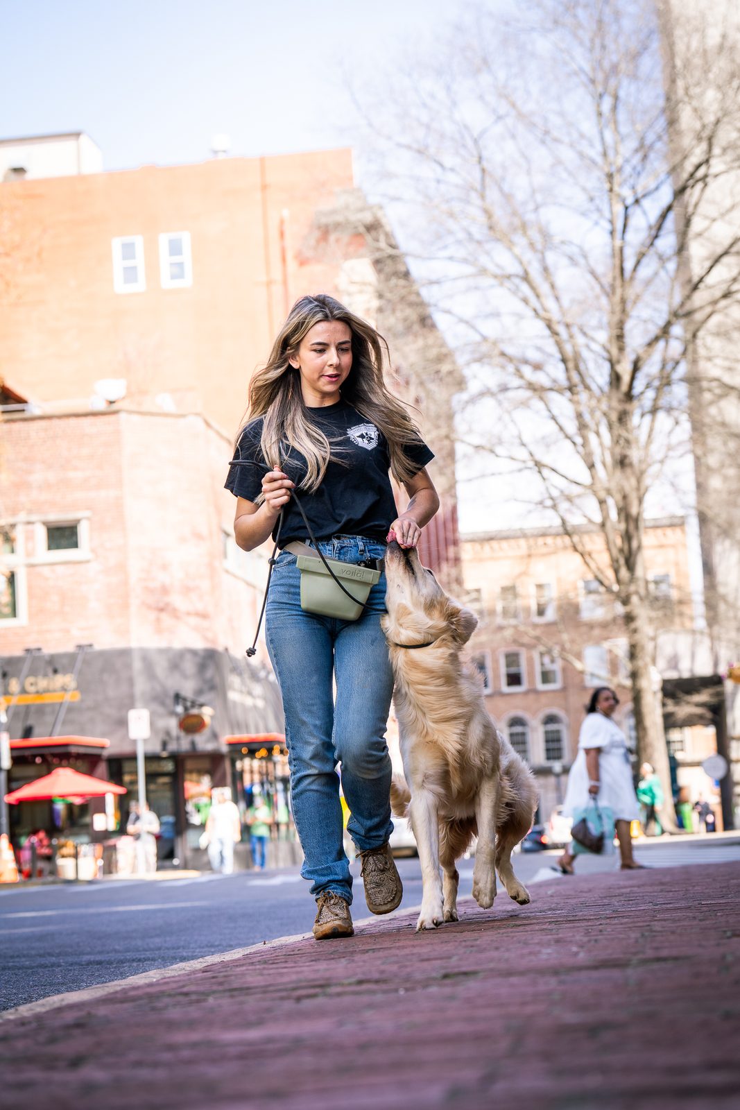 A young dog on leash walking down a brick street with a woman